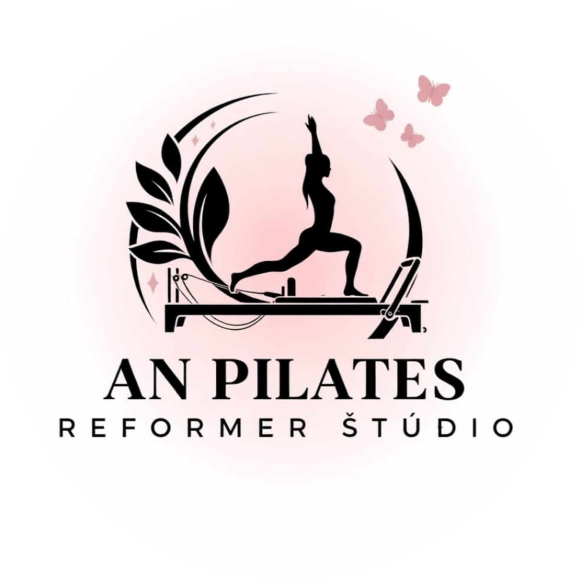 AN Pilates Reformer